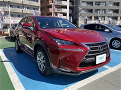 NX200t Iパッケージ