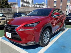 NX200t Iパッケージ