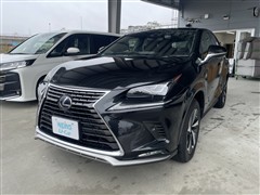 NX300h スパイス&シック