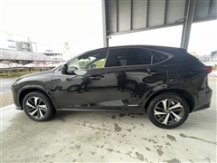 NX300h スパイス&シック