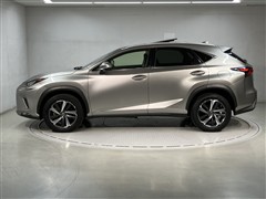 NX300h Iパッケージ