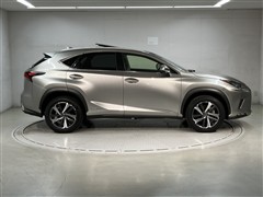 NX300h Iパッケージ