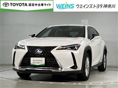 UX250h バージョンC