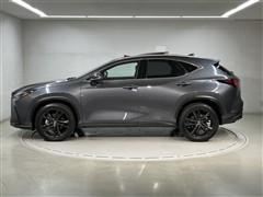 NX350h VER-L