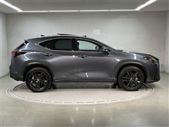 NX350h VER-L