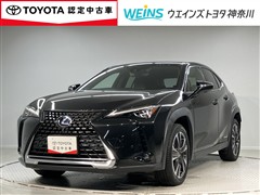 UX250h バージョンL