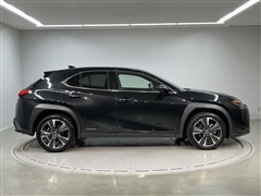 UX250h バージョンL
