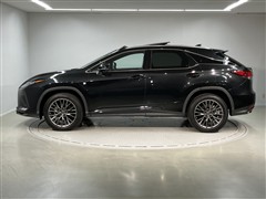 RX300 Fスポーツ