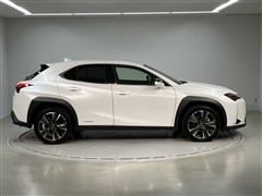 UX250h バージョンL