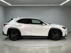 UX250h バージョンC