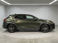 UX250h バージョンC