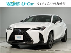 UX250h F SPORT