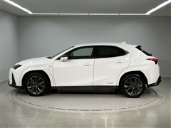 UX250h F SPORT