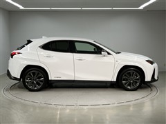 UX250h F SPORT