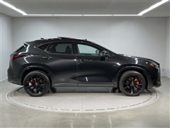 NX350 Fスポーツ AWD