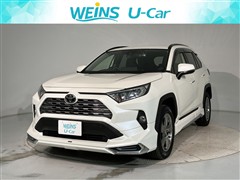 RAV4 G
