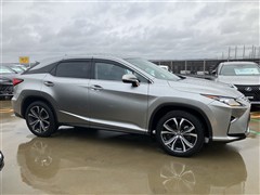 RX300 ヒョウジュンシャ