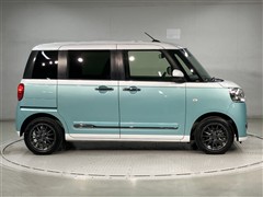 ムーヴキャンバスストライプスG-T