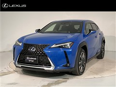 UX250h バージョンL