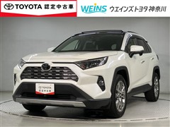 RAV4 G Zパッケージ