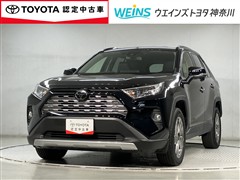 RAV4 G