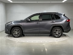 RAV4 G