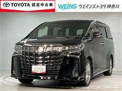 アルファード Sタイプゴールド2