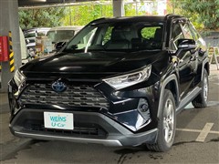 RAV4 ハイブリッド G