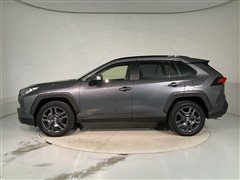 RAV4 アドベンチャー 4WD
