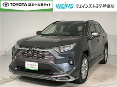 RAV4 G Zパッケージ