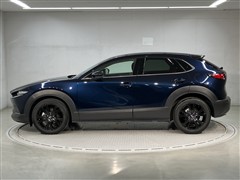 CX-30 20S ブラックトーンED