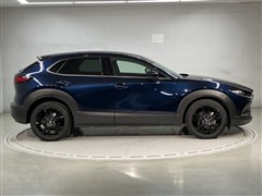 CX-30 20S ブラックトーンED