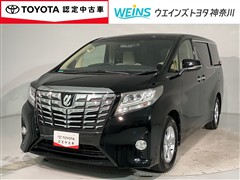 アルファード X 8ニンノリ