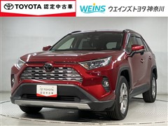 RAV4 G