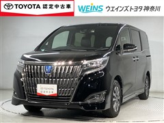 エスクァイアHV GiPRMテーラード