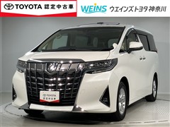 アルファード X 8ニンノリ