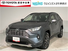 RAV4 G