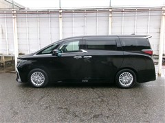 アルファードHV Gサイドリフトアッ