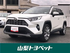 RAV4 G Zパッケージ