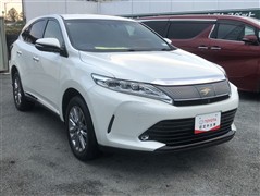 ハリアー プログレスメタル&レザー