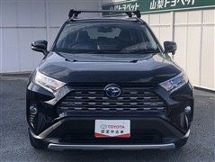 RAV4 ハイブリッドG