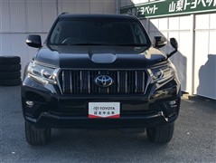 ランクルプラドTX L  BL ED