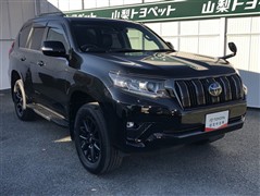 ランクルプラドTX L  BL ED