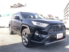 RAV4 ハイブリッドG