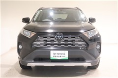 RAV4 G