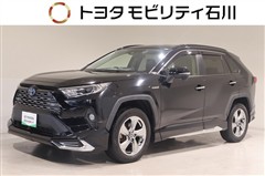 トヨタ RAV4 ハイブリッドG