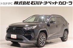 RAV4 X