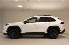 RAV4 アドベンチャー オフロート