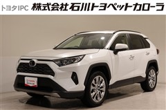 RAV4 G Zパッケージ