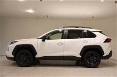 RAV4アドベンチャーオフロード2